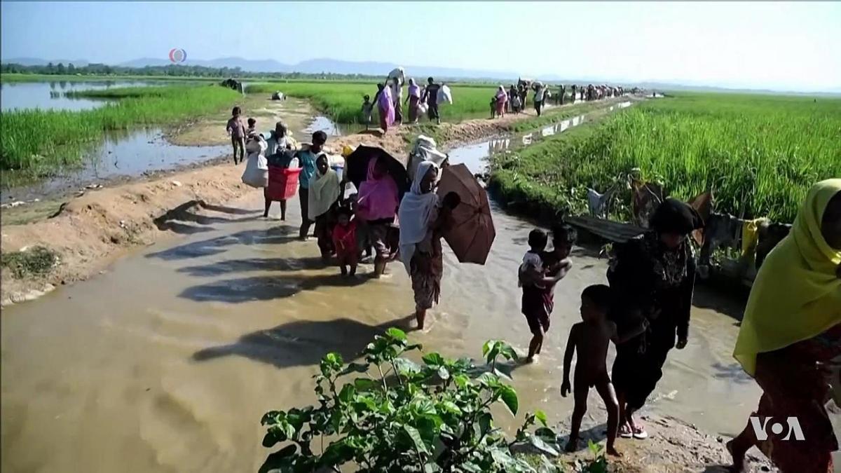 Rohingya refugees entering Bangladesh after being driven out of Rakhine State, 2017. Wikipedia Commons